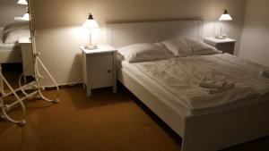Voodi või voodid majutusasutuse Hotel Bílý Koníček toas
