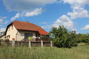 a house with a fence in a field at Wypoczynek Kocia Góra in Dziemiany