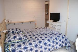 - une chambre avec un lit, un bureau et une télévision dans l'établissement Angers Green Lodge, à Angers