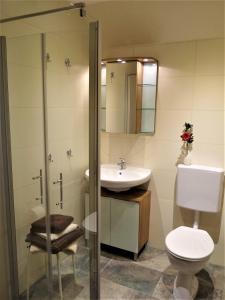a bathroom with a toilet and a sink at Appartements Margot in Krumpendorf am Wörthersee