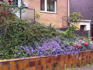 En trädgård utanför Traumhaftes Apartment in Mönchengladbach Ohler