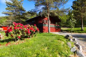 una cabaña roja con flores delante en Sjøholt Camping en Sjøholt