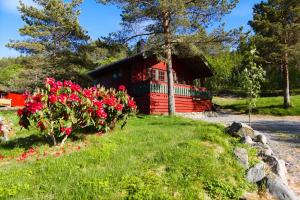 une cabine rouge avec des fleurs devant elle dans l'établissement Sjøholt Camping, à Sjøholt