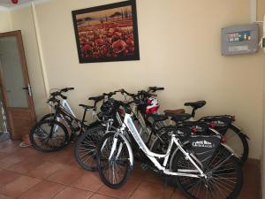 רכיבה על אופניים ב-Hostal Mesón Arboleas או בסביבה