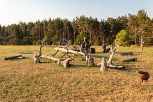Paesaggio naturale nelle vicinanze dell'ostello