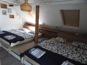 een kamer met 2 bedden in een kamer met een raam bij Blue Beach Panorama in Révfülöp