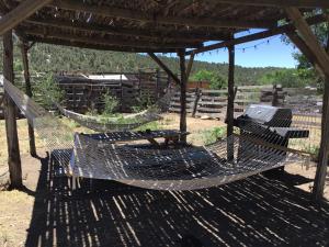 un par de hamacas bajo una pérgola en Taos Goji Farm & Eco-Lodge Retreat, en Arroyo Seco