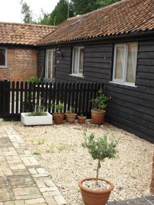 a group of potted plants in front of a house at The Courtyard at Lodge Farm in Norwich