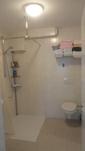 ein Bad mit einer Dusche und einem WC in der Unterkunft Ferienwohnung Ol Komede Wai 12c in Helgoland