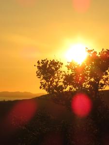 a sunset with the sun setting behind two trees at Garth Engan Private Self Contained B&B with Garden Area in Llanbedr