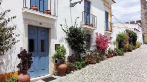 uma rua com uma porta azul e vasos de plantas em Casa De Terena em Terena