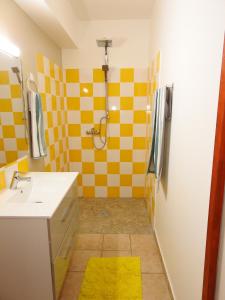 een badkamer met een wastafel en een douche bij gîte CITRONNELLE in Bouillante