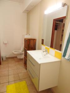 een badkamer met een wastafel, een spiegel en een toilet bij gîte CITRONNELLE in Bouillante