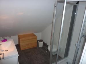 une salle de bain avec une douche, un lavabo et des toilettes dans l'établissement Gites Chez Schangala, à Thannenkirch 37 autres photos