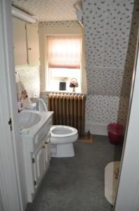 a bathroom with a sink and a toilet and a window at Queen Anne Bed and Breakfast in Nevada