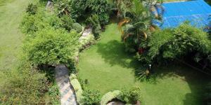 Um jardim no exterior de Hotel Tulsi