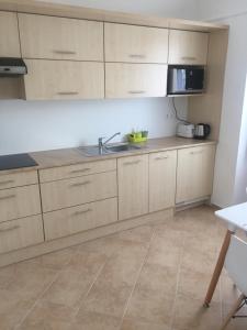 Kuchyň nebo kuchyňský kout v ubytování Pizza Tábor Apartman