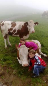 Altri animali domestici presso l'agriturismo o nei dintorni