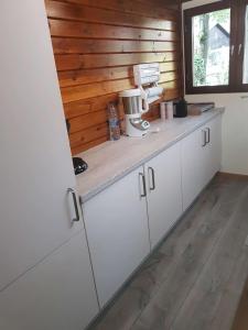 Kuchyň nebo kuchyňský kout v ubytování Ardennes + 37 fotografií