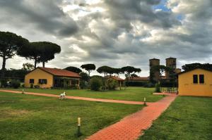 a dog standing in a field next to a house at La Fattoria di Tirrenia in Tirrenia