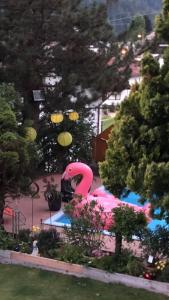 Bazén v ubytování Hotel Olympia nebo v jeho okolí + 35 fotografií