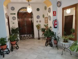 Fotografie z fotogalerie ubytování Hostal Maestre v destinaci Córdoba