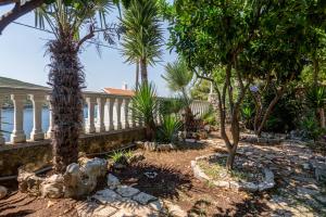 a garden with palm trees in front of a house at Sea Oasis Apartments - Milosevic in Kotor