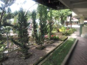 Zahrada ubytování Pandu Lakeside Hotel Parapat