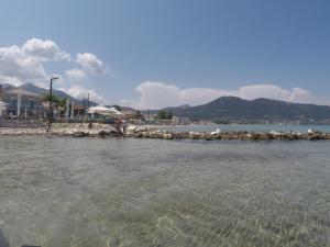 a group of sheep standing on the shore of a body of water at Ostria Hotel in Skala Potamias