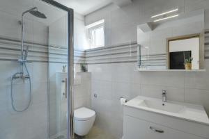 a bathroom with a toilet and a sink and a shower at D&A Amphitheatre Apartments with free parking in Pula