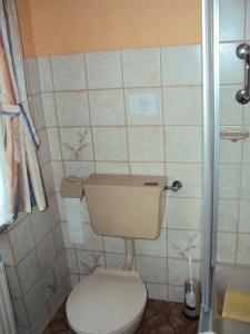 a small bathroom with a toilet and a shower at Ferienwohnungen Hasenpatt in Bad Sachsa +7 photos