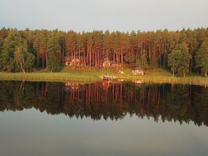 a lake with a house in the middle of a forest at Vila Tauragnas in Varniškės I
