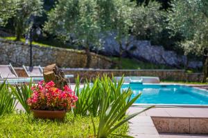 ein Pool mit einem Blumentopf im Gras in der Unterkunft Monte Tondo Winery in Soave