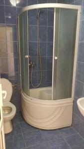a bathroom with a shower and a toilet at Casa Dora Costinești in Costinesti