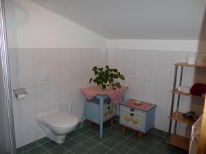 Kúpeľňa v ubytovaní Ferienhaus Hochwimmer + 37 fotografií