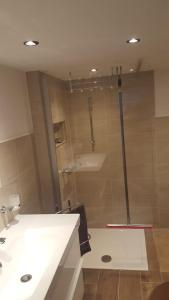 baño con ducha y puerta de cristal en FeWo in Wismar, en Wismar