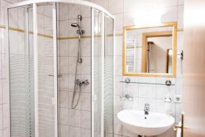 un bagno con doccia e lavandino di Weinberghof Ilkerl-Luf a Krems an der Donau