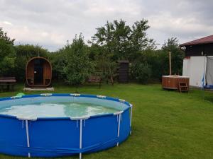a large blue tub in the grass in a yard at Gospodarstwo Agroturystyczne Antoniewo in Antoniewo