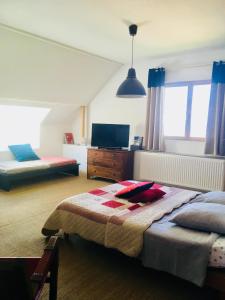 a bedroom with a bed and a tv in it at Ferme de la Cochette in Montcel