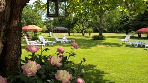 a group of chairs and umbrellas in a park at 'La Maison Catalpa' French Farmhouse with Pool & Jaccuzi in Saint-Privat-des-Prés