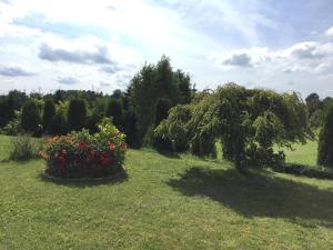 O grădină în afara Agroturystyka 'Milena'