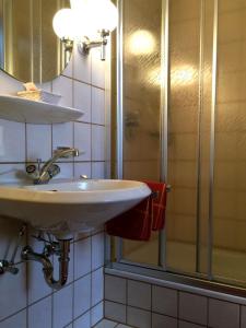 La salle de bains est pourvue d'un lavabo et d'une douche. dans l'établissement Pension Hildegund, à Lauterbach