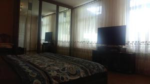加格拉的住宿－Отдых от городской суеты，一间卧室设有一张床、一台电视和一个窗口。