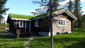 Koselig familiehytte sentralt på Skeikampen til leie في Svingvoll: كابينة خشب بسقف عشبي