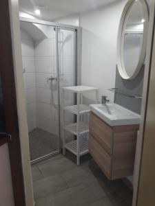 a bathroom with a shower and a sink and a mirror at Gala Apartments - Country Oasis in Pettenbach in Pettenbach