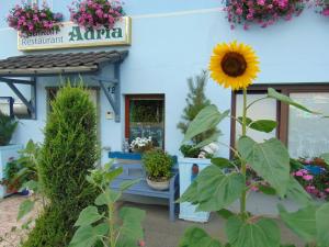 eine Sonnenblume steht vor einem Geschäft in der Unterkunft Hotel/Restaurant Adria in Windhagen