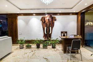 迈索尔Hotel Lok Sagar Mysore的相册照片