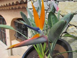 Fotografie z fotogalerie ubytování Le Petit Coin de Paradis v destinaci Callas