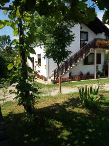 a white house with red flowers in the yard at Apartment Manda in Rakovica