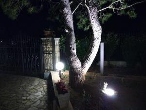 Vonkajšia záhrada v ubytovaní Mady
